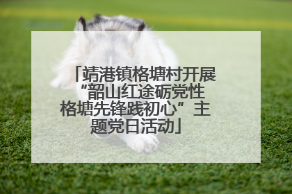 靖港镇格塘村开展“韶山红途砺党性 格塘先锋践初心”主题党日活动