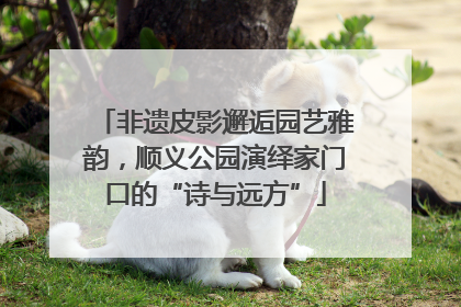 非遗皮影邂逅园艺雅韵，顺义公园演绎家门口的“诗与远方”