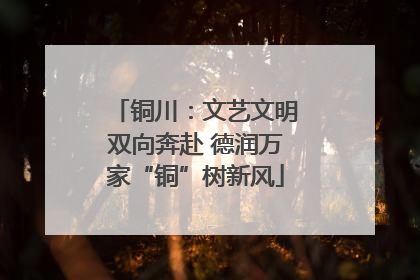 铜川：文艺文明双向奔赴 德润万家“铜”树新风