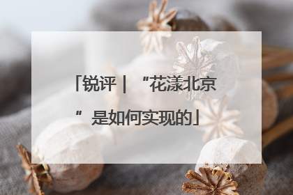 锐评｜“花漾北京”是如何实现的