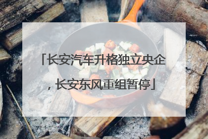 长安汽车升格独立央企，长安东风重组暂停