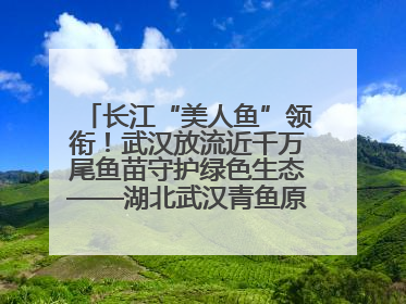 长江“美人鱼”领衔！武汉放流近千万尾鱼苗守护绿色生态——湖北武汉青鱼原种场参加2025年“全国放鱼日”增殖放流活动
