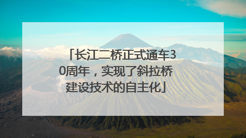长江二桥正式通车30周年，实现了斜拉桥建设技术的自主化