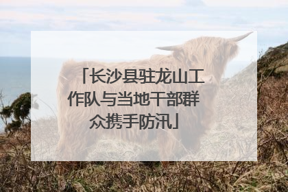 长沙县驻龙山工作队与当地干部群众携手防汛