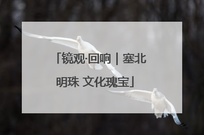 镜观·回响｜塞北明珠 文化瑰宝