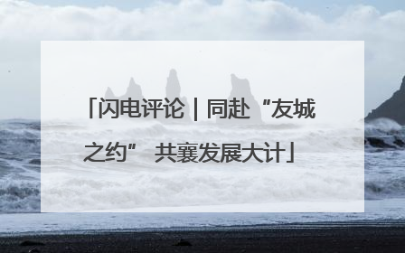 闪电评论｜同赴“友城之约” 共襄发展大计