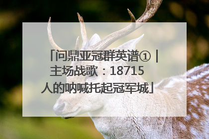 问鼎亚冠群英谱①｜主场战歌：18715人的呐喊托起冠军城