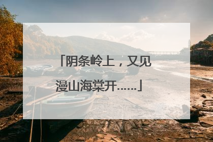 阴条岭上，又见漫山海棠开……