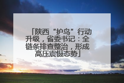 陕西“护鸟”行动升级，省委书记：全链条排查整治，形成高压震慑态势
