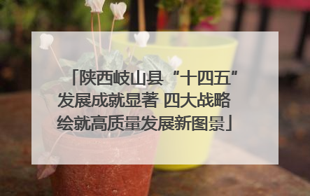 陕西岐山县“十四五”发展成就显著 四大战略绘就高质量发展新图景