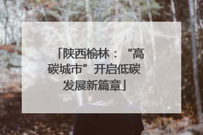 陕西榆林：“高碳城市”开启低碳发展新篇章