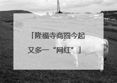 隆福寺商圈今起又多一“网红”