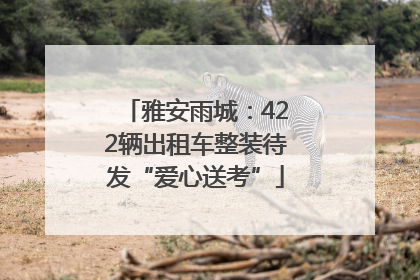 雅安雨城：422辆出租车整装待发“爱心送考”