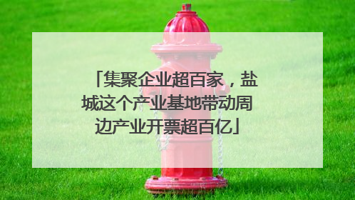 集聚企业超百家，盐城这个产业基地带动周边产业开票超百亿
