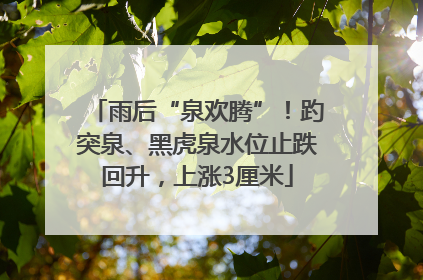 雨后“泉欢腾”！趵突泉、黑虎泉水位止跌回升，上涨3厘米
