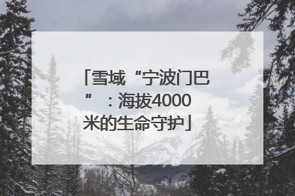 雪域“宁波门巴”：海拔4000米的生命守护