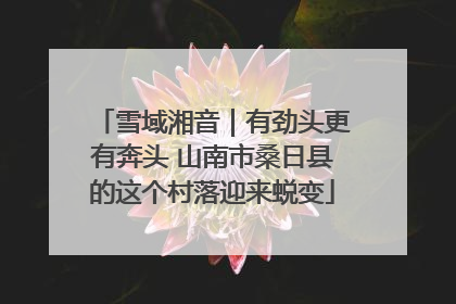 雪域湘音｜有劲头更有奔头 山南市桑日县的这个村落迎来蜕变