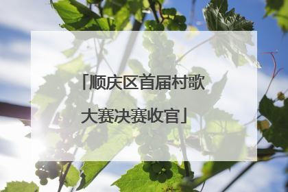 顺庆区首届村歌大赛决赛收官