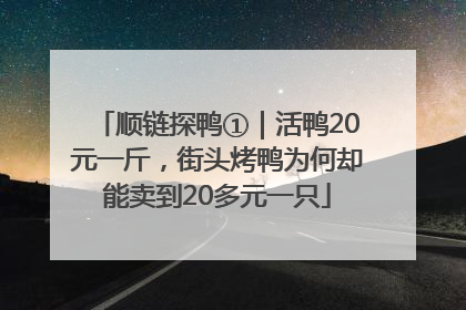 顺链探鸭①｜活鸭20元一斤，街头烤鸭为何却能卖到20多元一只