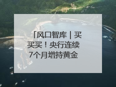 风口智库｜买买买！央行连续7个月增持黄金，专家：金价或仍易涨难跌