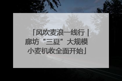 风吹麦浪一线行｜廊坊“三夏”大规模小麦机收全面开始