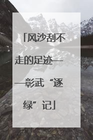 风沙刮不走的足迹——彰武“逐绿”记