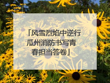 风雪烈焰中逆行 瓜州消防书写青春担当答卷