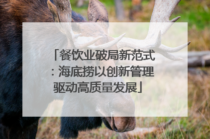 餐饮业破局新范式：海底捞以创新管理驱动高质量发展