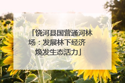 饶河县国营通河林场：发展林下经济 焕发生态活力
