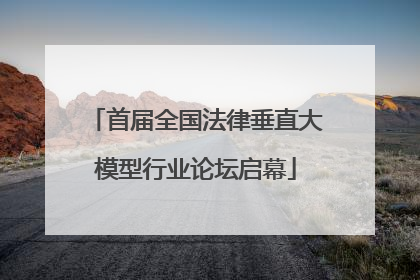 首届全国法律垂直大模型行业论坛启幕