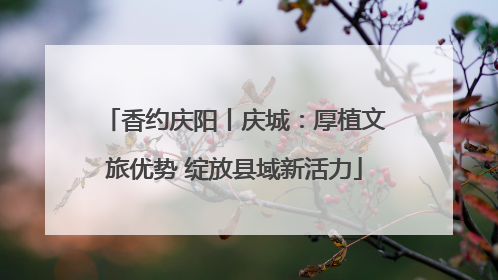 香约庆阳丨庆城：厚植文旅优势 绽放县域新活力