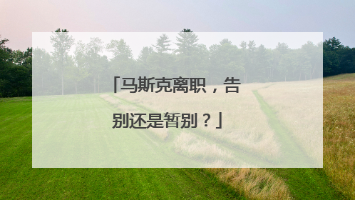 马斯克离职，告别还是暂别？