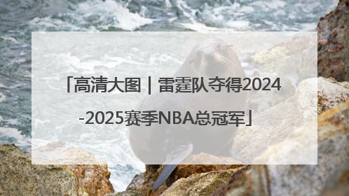 高清大图｜雷霆队夺得2024-2025赛季NBA总冠军