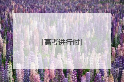 高考进行时