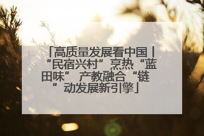 高质量发展看中国丨“民宿兴村”烹热“蓝田味” 产教融合“链”动发展新引擎