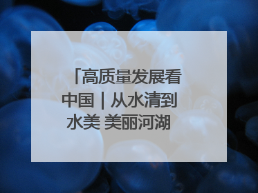 高质量发展看中国｜从水清到水美 美丽河湖扮靓美丽乡村