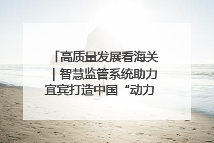 高质量发展看海关｜智慧监管系统助力宜宾打造中国“动力电池之都”