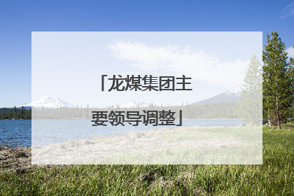 龙煤集团主要领导调整