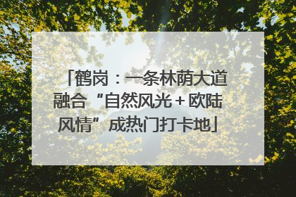 鹤岗：一条林荫大道融合“自然风光＋欧陆风情”成热门打卡地