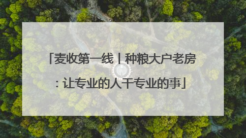 麦收第一线丨种粮大户老房：让专业的人干专业的事