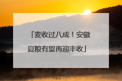 麦收过八成！安徽夏粮有望再迎丰收
