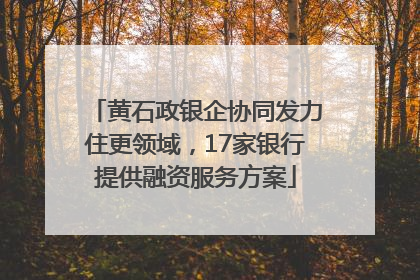 黄石政银企协同发力住更领域，17家银行提供融资服务方案