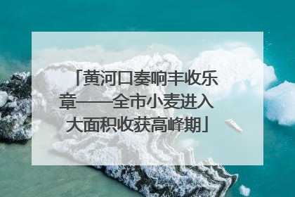 黄河口奏响丰收乐章——全市小麦进入大面积收获高峰期