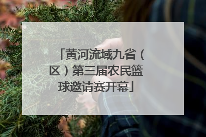 黄河流域九省（区）第三届农民篮球邀请赛开幕