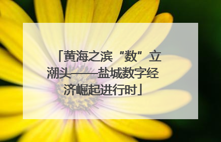 黄海之滨“数”立潮头——盐城数字经济崛起进行时