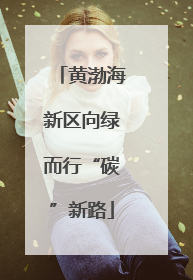 黄渤海新区向绿而行“碳”新路