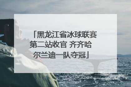黑龙江省冰球联赛第二站收官 齐齐哈尔兰迪一队夺冠