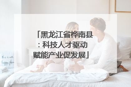 黑龙江省桦南县：科技人才驱动 赋能产业促发展