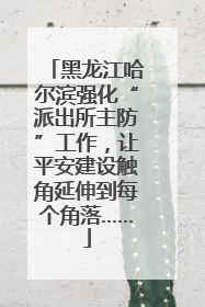 黑龙江哈尔滨强化“派出所主防”工作，让平安建设触角延伸到每个角落……