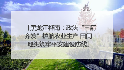 黑龙江桦南：政法“三箭齐发”护航农业生产 田间地头筑牢平安建设防线